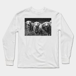 Rams Long Sleeve T-Shirt